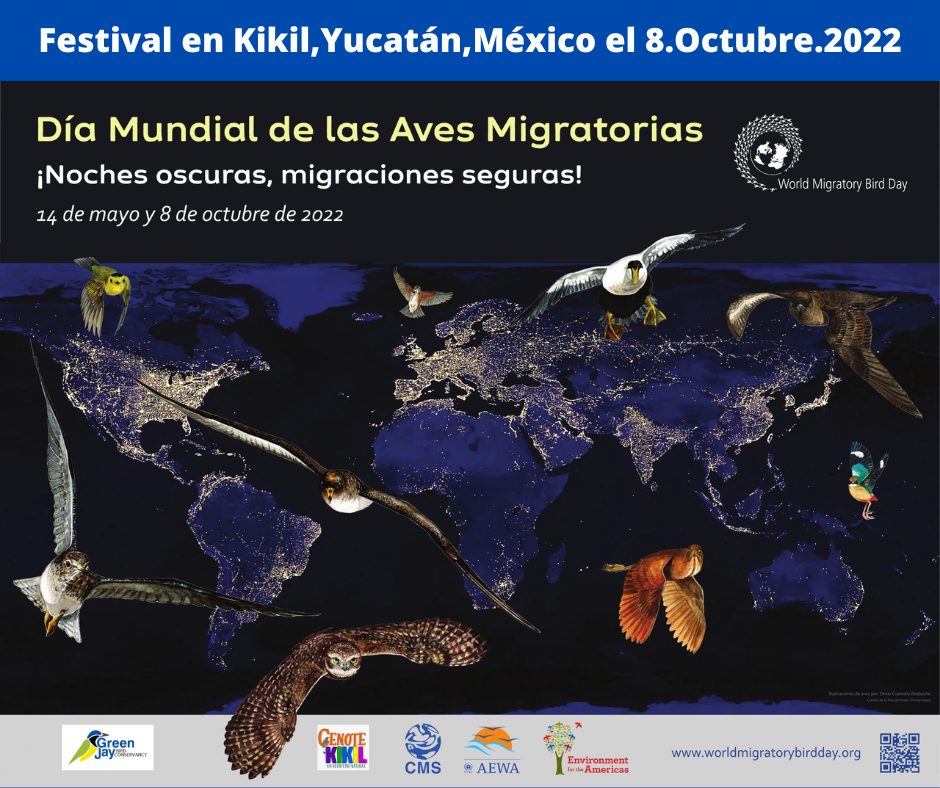 Festival Día Mundial De Las Aves Migratorias ¡noches Oscuras Migraciones Seguras Kikil 